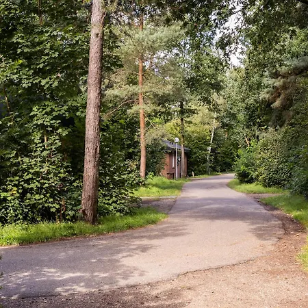 بيت للعطل Pet-friendly Forest Escape *